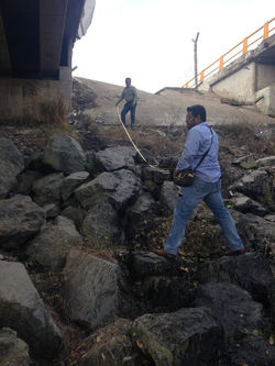 WhatsApp Image 2020-06-01 at 10.30