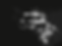 GOTS Header (no text).png