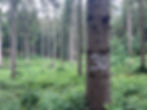 IMG_8564.jpeg