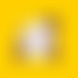 Join Us for a Night of Fun at the Silks Bash Fundraiser on May 1 2026 at Historic Locust Grove