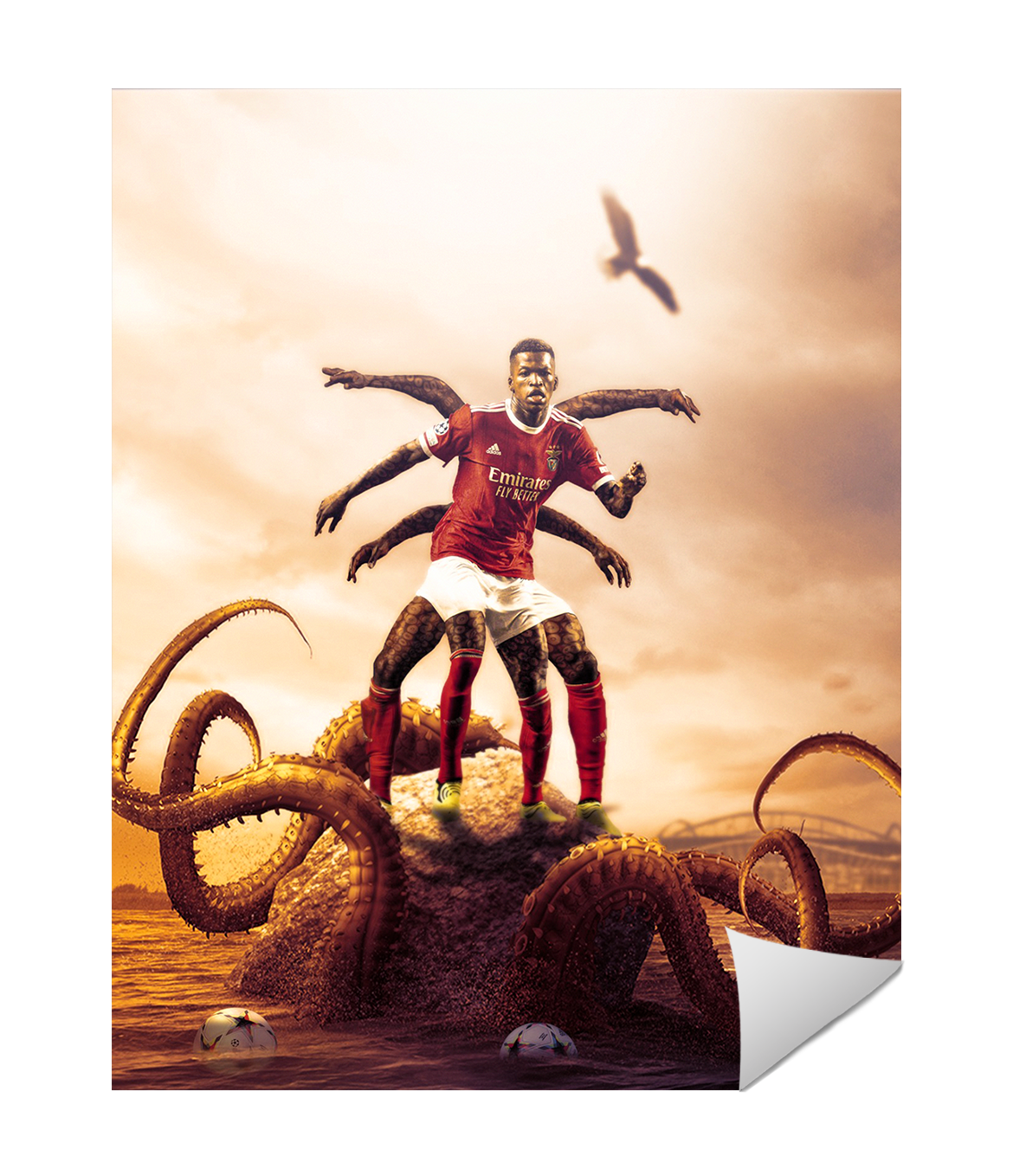 Florentino Luís - O Polvo