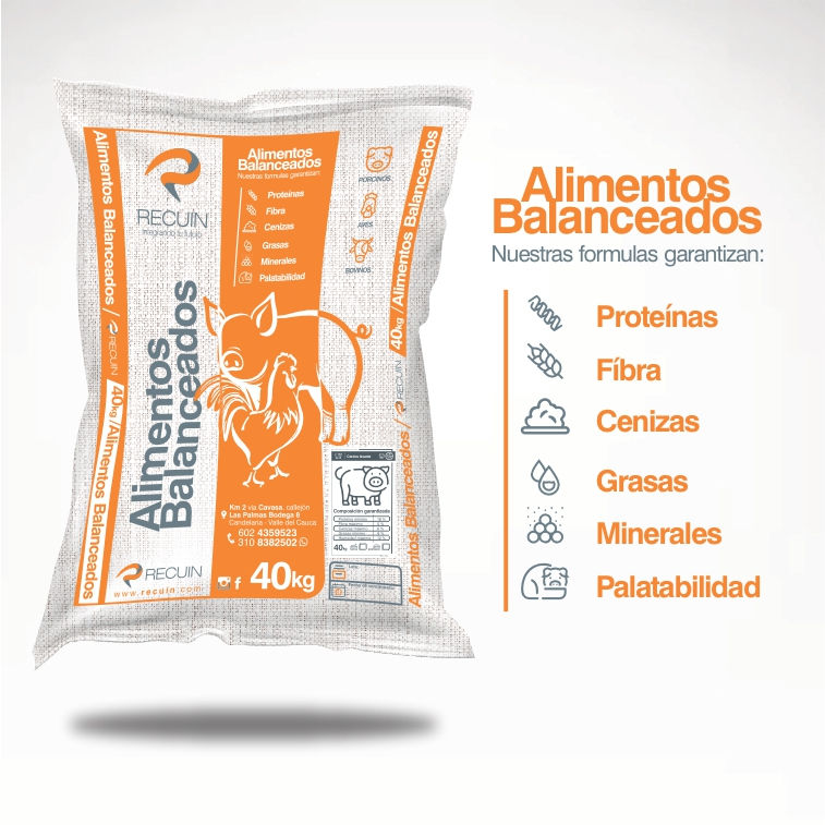 Miniatura: Alimento concentrado cerdos levante