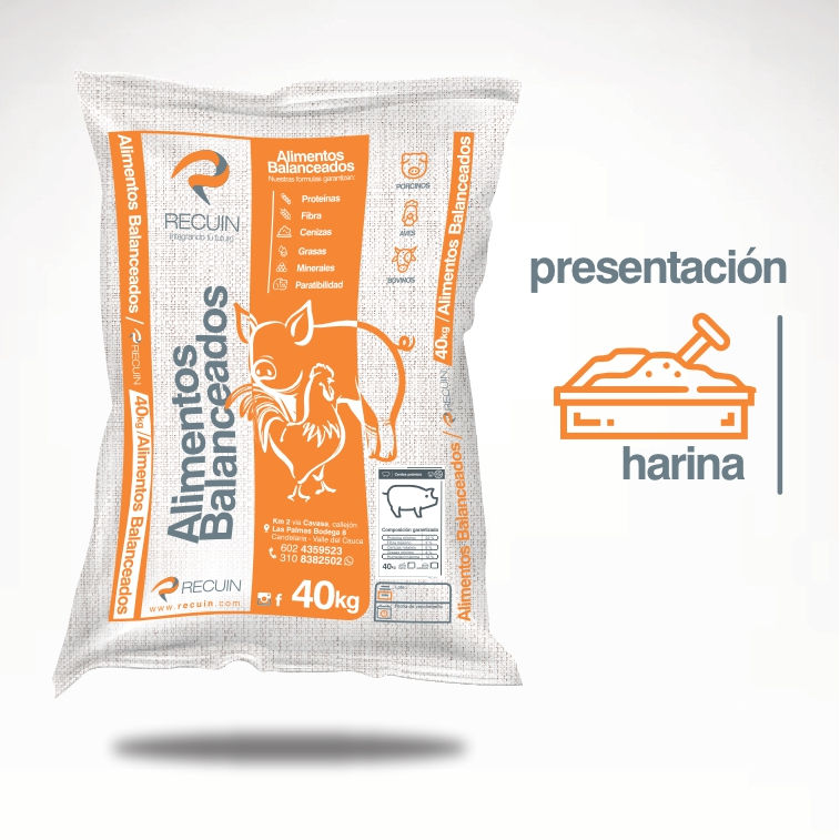 Miniatura: Alimento concentrado cerdos preinicio