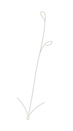 CL arrow_edited.png