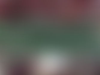 Suspicion permanente : quand on met les élus français d’origine algérienne sous procès politique