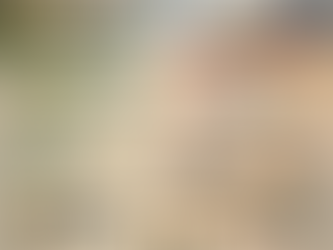 Entreprendre en Algérie depuis l’étranger : avantages et inconvénients à connaître avant de se lancer