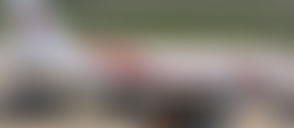 Le Retour des Talents en Algérie : Des Opportunités Infinies pour le Futur