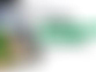 Réussir en Algérie : Découvrez la formation Entreprendre en Algérie