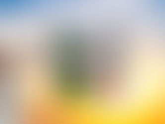 Entreprendre en Algérie : le guide stratégique pour investir intelligemment en 2026