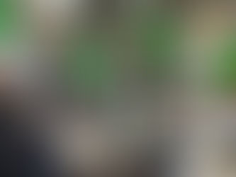 Kabylie, manipulations et récupération politique : pourquoi l’unité doit primer