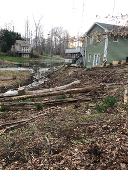 Before Clean up and Rock
