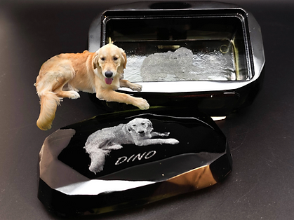 Ours memories engraved urn Dino.png