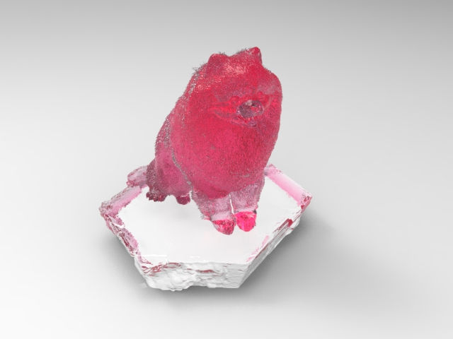 Thumbnail: Dog 15 Gift (Pomeranian 松鼠狗)