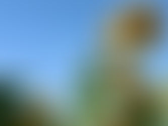 8월 한 달, 이렇게 보내면 좋겠습니다