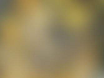 3 Essential Oil Painting Techniques for Flawless Result