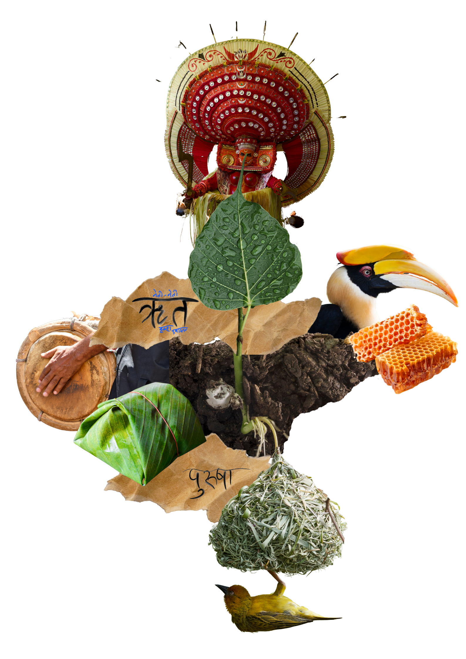 About what is bodhi sangha 1.png