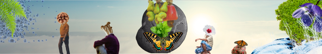 website homepage (1).png