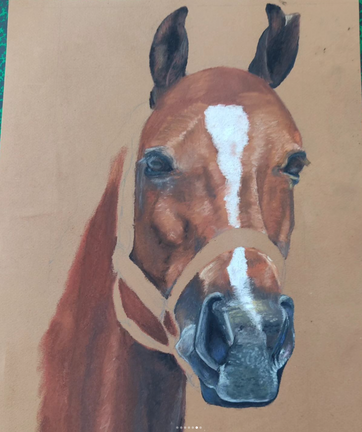 Portrait animalier crayon de papier cadeau enfant normandie calvados cheux