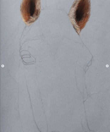 Portrait animalier crayon de papier cadeau enfant normandie calvados cheux