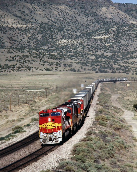 49999315217_841e9d23de_k.jpg