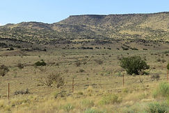 Grants 181 acre Ranc.png