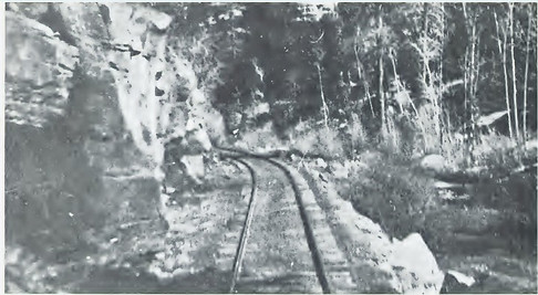 Mainline Cottonwood_edited.jpg