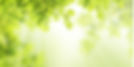 nature-background-picture-id482744067.jpeg