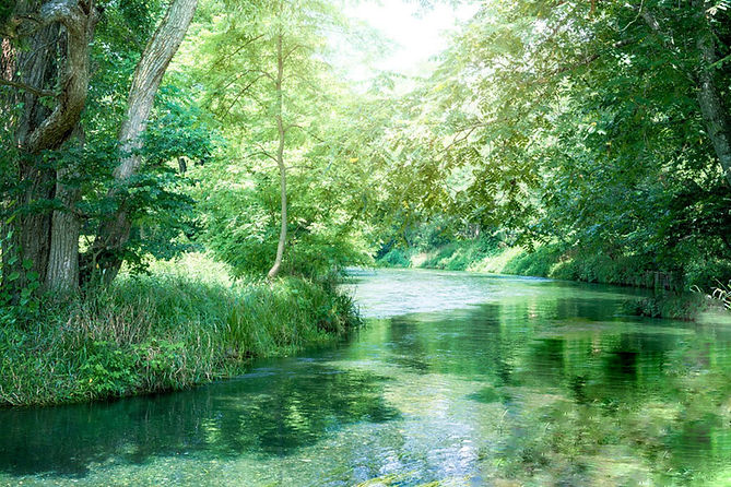 japanese-clear-stream-picture-id596388360.jpeg