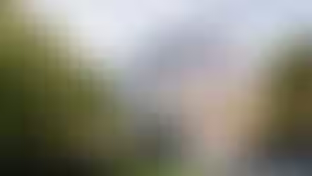 Chauffeurservice für Rosenberg Familien