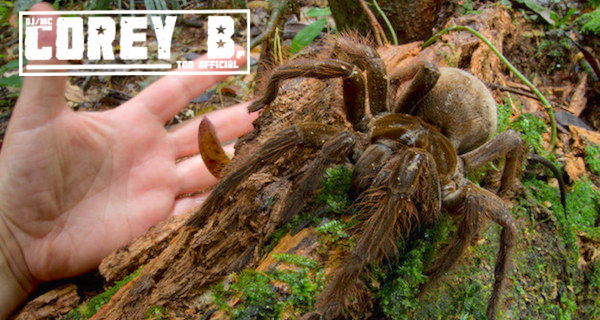 enhanced-5181-1413777175-5-1 copy.jpg