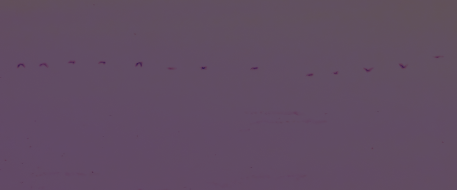 Diseño sin título (22).png