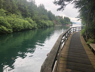 July 25th Fishing Update