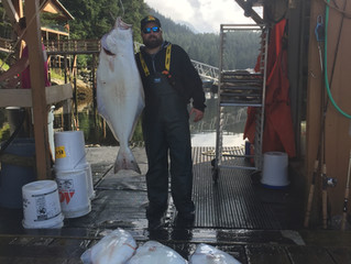 Aug 29 Fishing Update