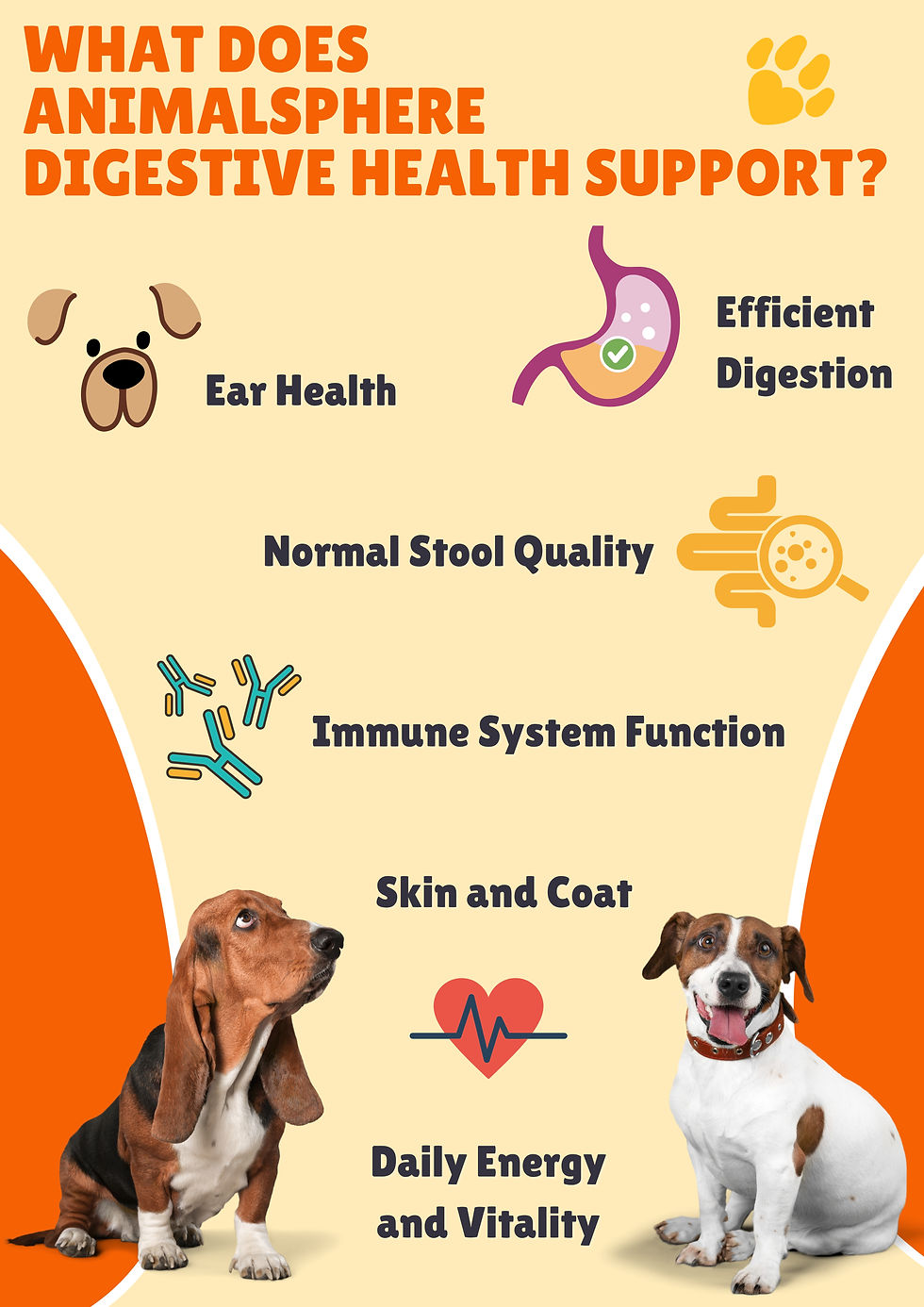 Thumbnail: Digestive Health