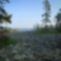 C89B49DB-D331-4D7A-BF55-27013DB3C480.JPG