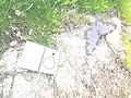 06569ed9-000c-48d9-a5e6-070d42e07095_edited.jpg