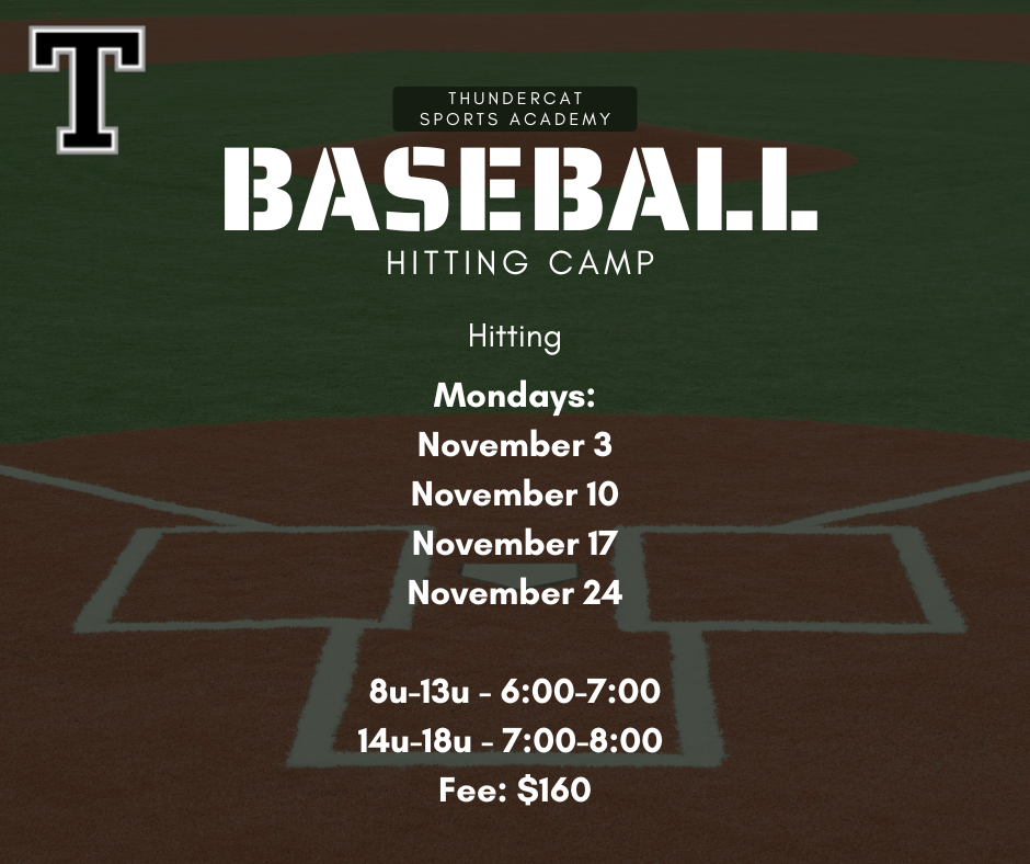 Baseball Hitting Camp (November 2025)