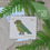 Thumbnail: Kea - Cross Stitch Magnet Kit