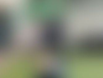 緊急食糧支援