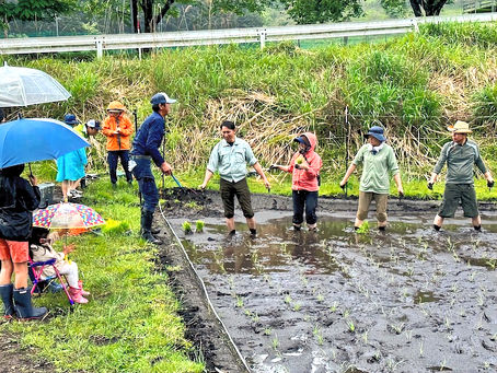 2025.5.18. 田植え作業を行います。