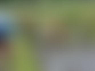 2024 田植え作業日決定