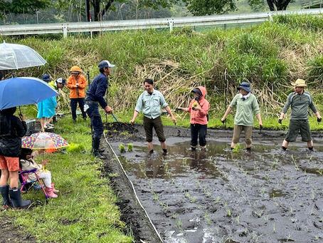 2024 田植え作業日決定
