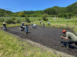 田植えイベントを行いました