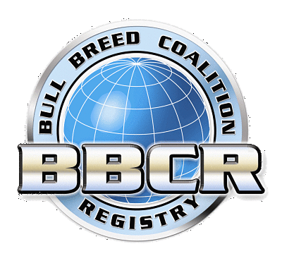 BBCR_Logo.gif