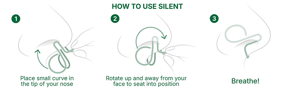 How-to-use-Silent-Mammoth.png