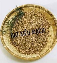 CÔNG THỨC 96: KIỀU MẠCH VÀO ĐẠM TĂNG
