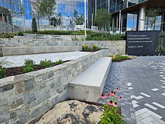 20250716_094901 (1).jpg