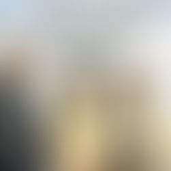 從在宅醫療年會出發：在宅急症照護體系之發展與在地實踐