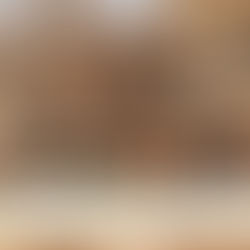 雲林居家醫療國際研討會登場 台日韓專家齊聚共議高齡照護