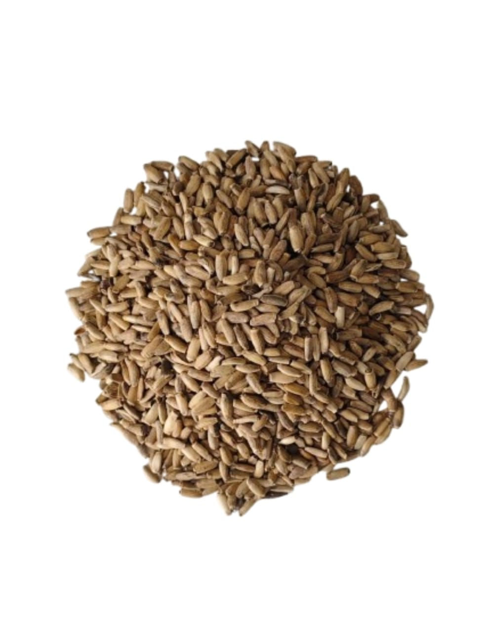 Kenger Tohumu Yabani Enginar Tohumu